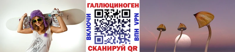 omg tor  сколько стоит  Северск  Псилоцибиновые грибы ЛСД 